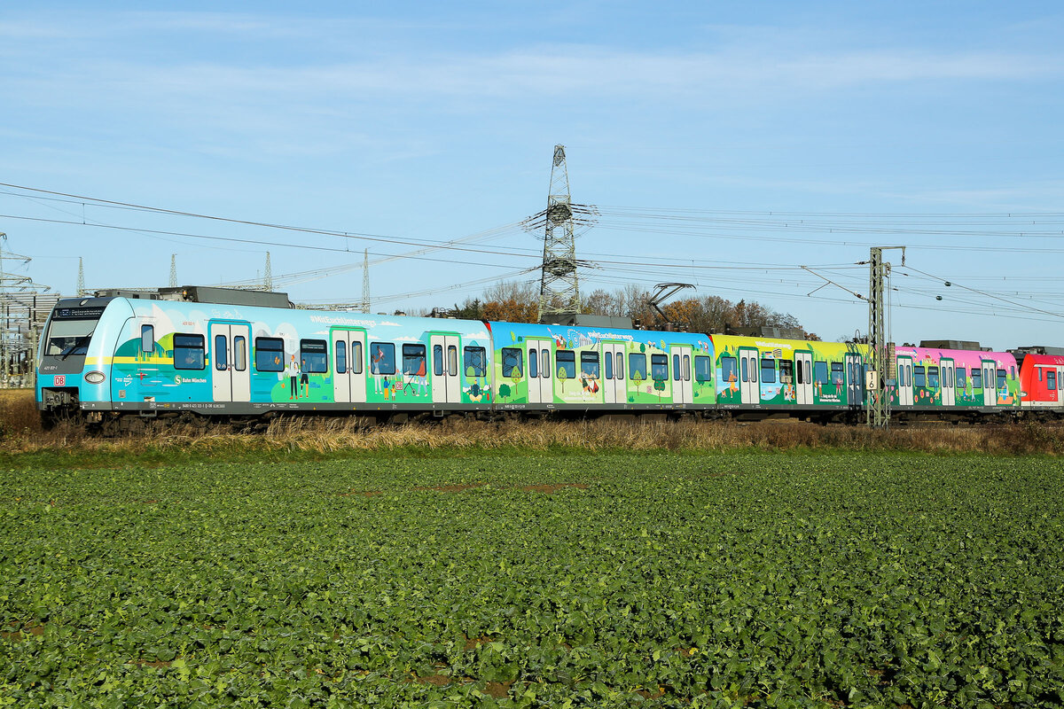 423 122 Landesgarten Schau München Bemalung am 25.11.24 bei Markt Schwaben.