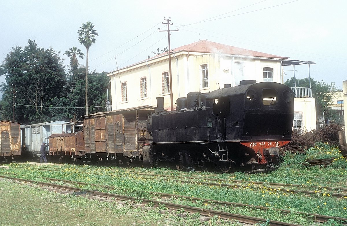 442 59   Ghinda  10.02.05