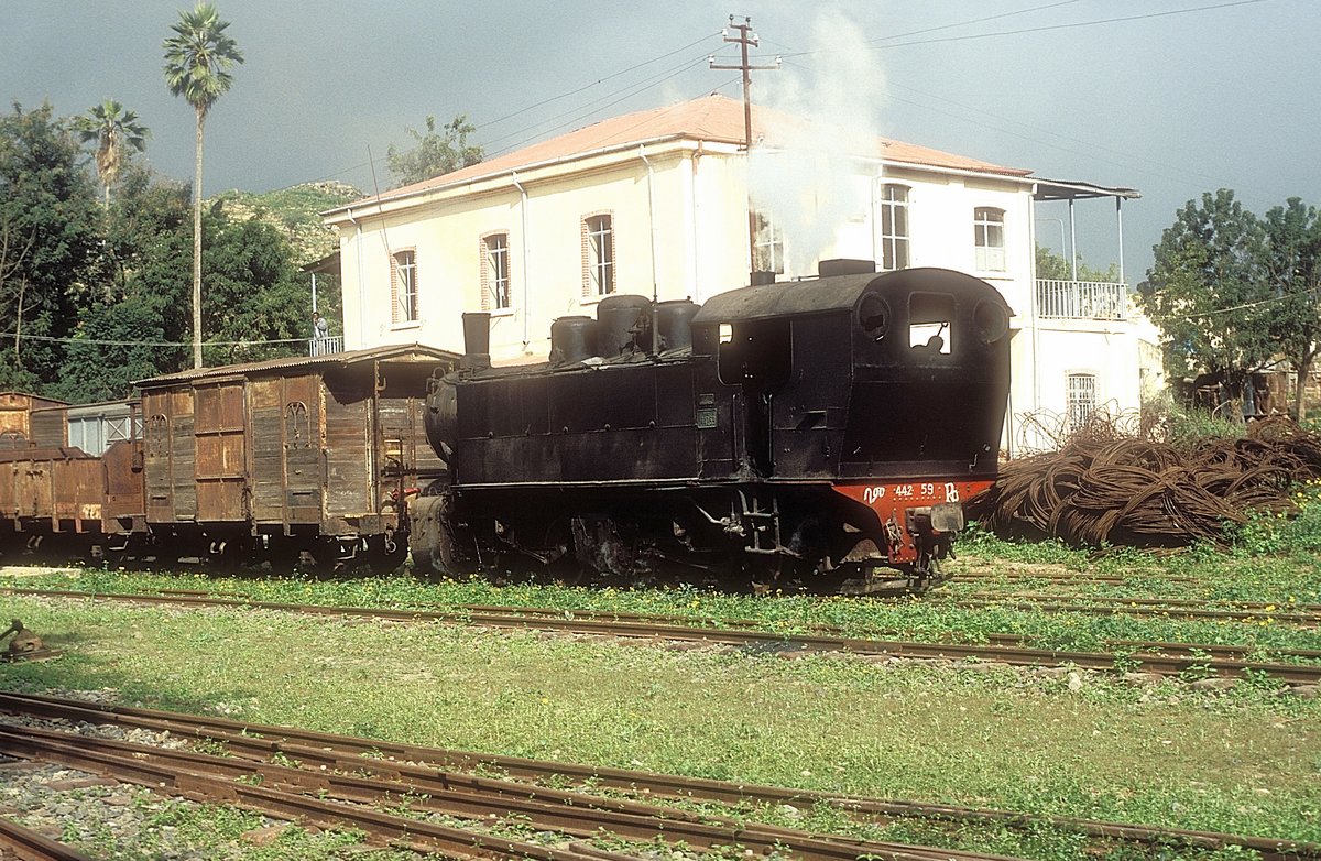 442 59   Ghinda  10.02.05