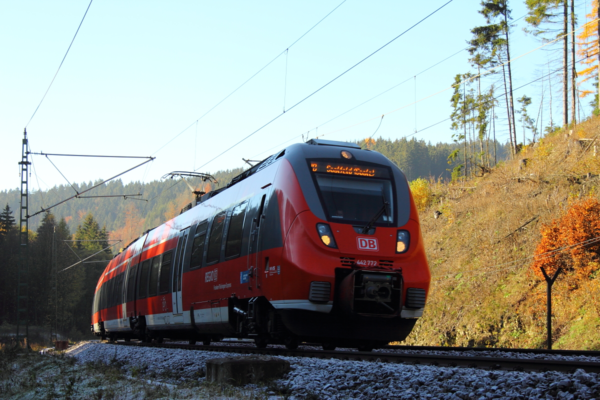 442 772 DB Regio bei Steinbach im Frankenwald am 03.11.2015.