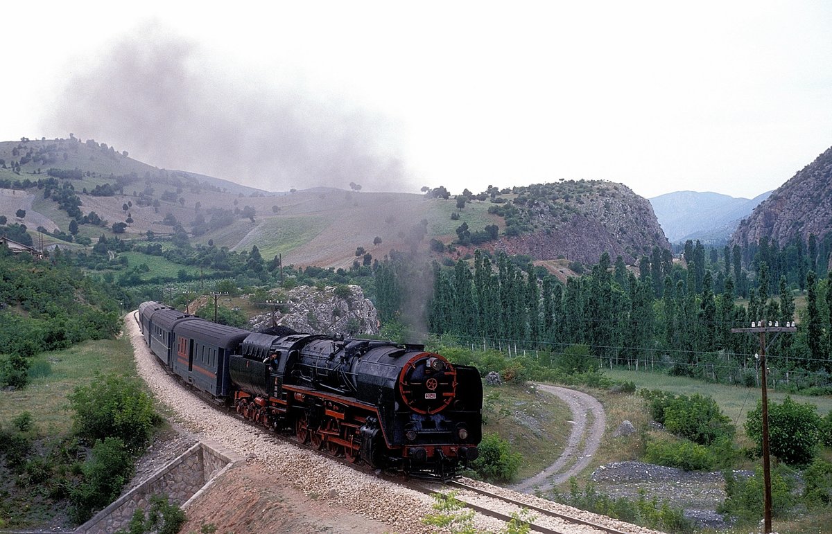 56140  bei Kizoglu  09.06.92