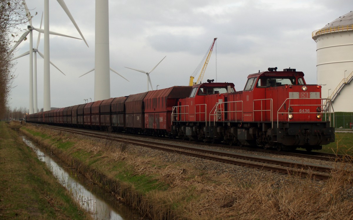 6436+6469, Amsterdam Houtrakpolder, 24-11-2013