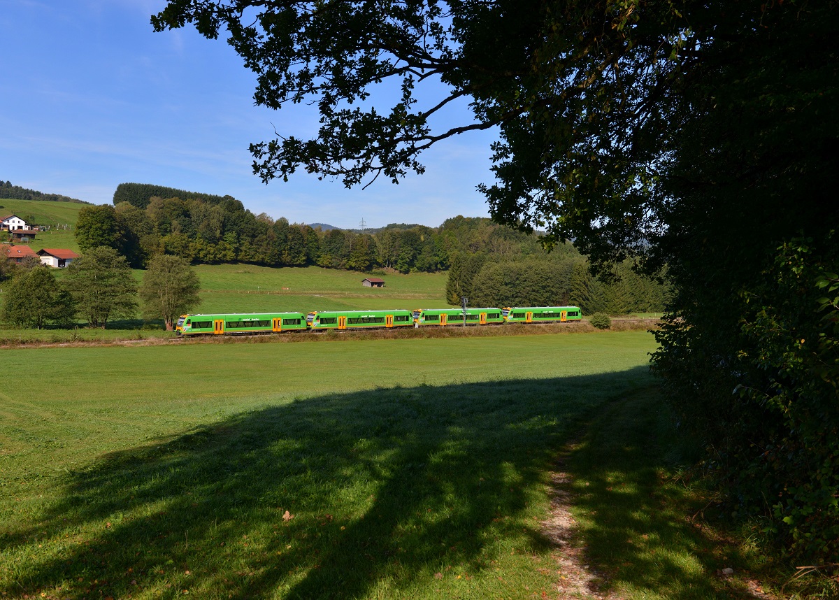 650 657 (VT 22) + 650 651 (VT 16) + 650 650 (VT 15) + 650 658 (VT 23) als WBA1 nach Plattling am 28.09.2014 bei Gotteszell.