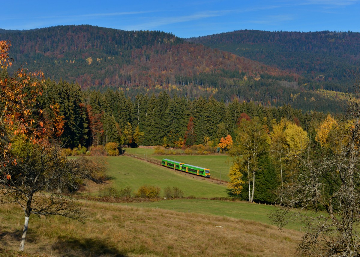 650 657 (VT 22) + 650 652 (VT 17) als WBA 84017 am 30.10.2015 bei Waldmann.