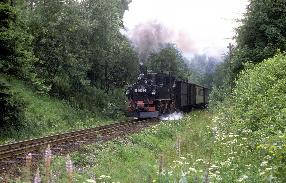  99 1608  bei Rothensema  06.07.90