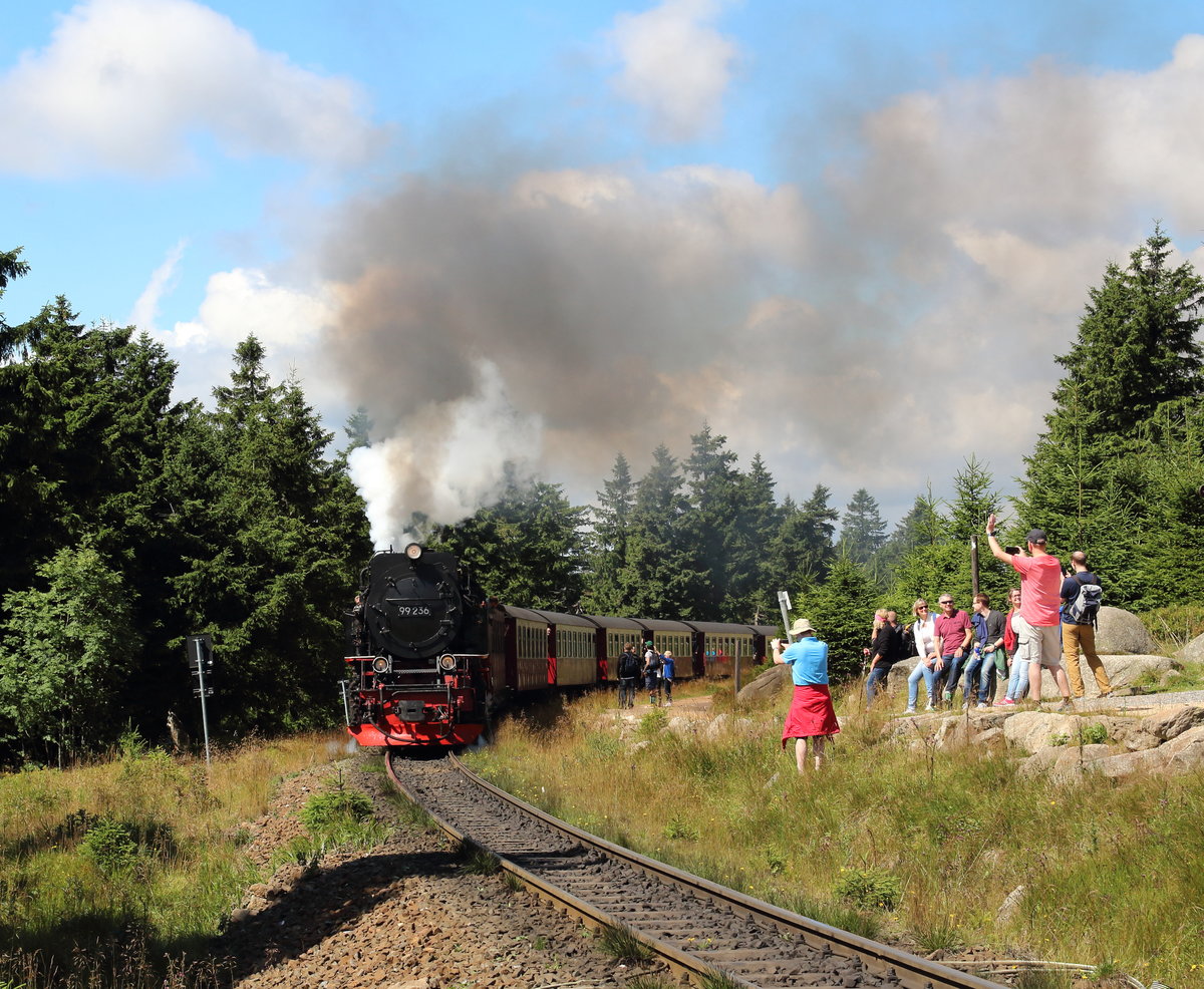 99 236 schnauft mit dem P8925 (Wernigerode - Brocken) den Brocken hinauf und wird gleich die Brockenstraße kreuzen.

Brocken, 06. August 2017