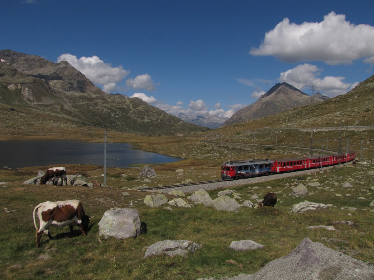  ABe 4/4 III 56  Corviglia  am 7.September 2014, an der Wasserscheide am Berninapass