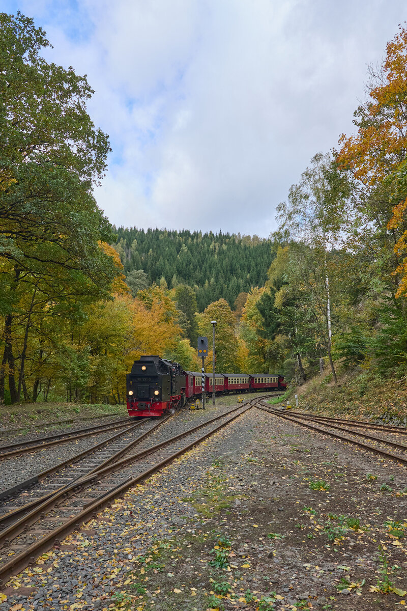 Am 13.10.2024 zog 99 7237 Zug 8903 von Wernigerode nach Eisfelder Talmühle. Gerade erreicht der Zug den Endbahnhof Eisfelder Talmühle.