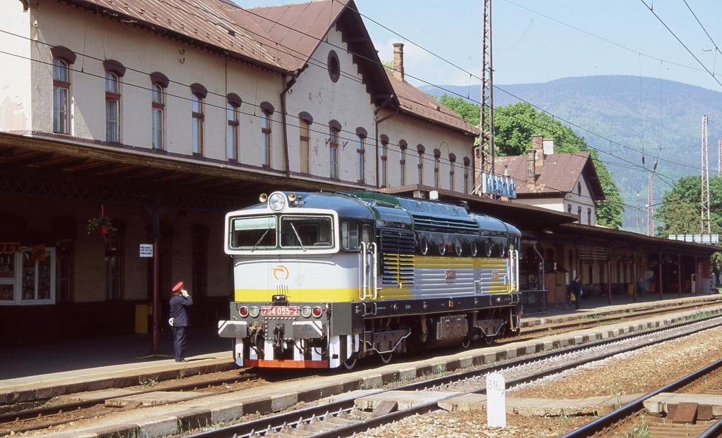 Am 18.5.2004 fhrt 754055 um 9.57 Uhr durch den Bahnhof Vrutky.