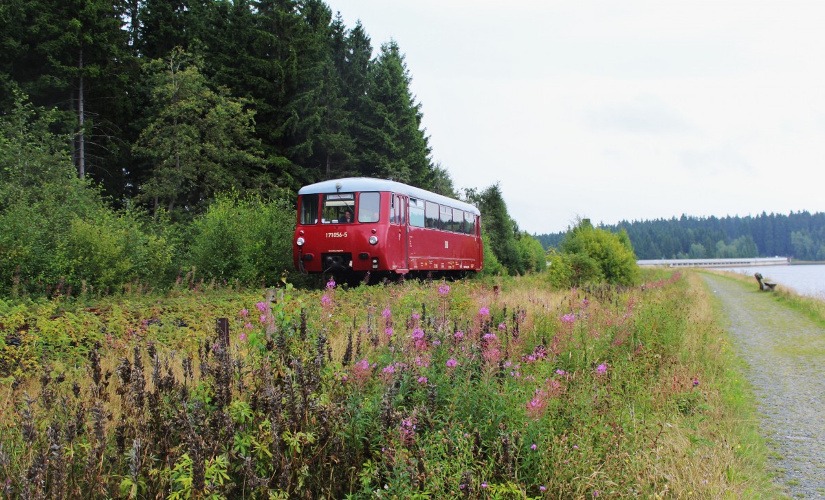 Am 25.08.13 fuhr das Ferkel (171 056-5) wieder von Adorf nach Muldenberg und zurck. Hier zusehen an der Talsperre Muldenberg.