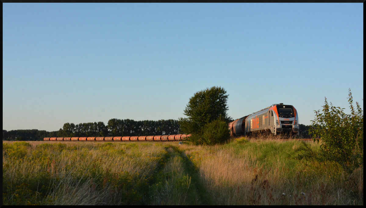 Am Abend des 06.08.2024 startet die HVLE 159 005 mit einem Ganzzug WASCOSA Schüttgutwagen (Tagnpps) aus dem Anschluss des Hafen Vierow am Greifswalder Bodden zur Rückfahrt nach Reichenbach/Oberlausitz. Mit dem Zug waren zuvor rund 2000 Tonnen Getreide von dort angeliefert worden. 