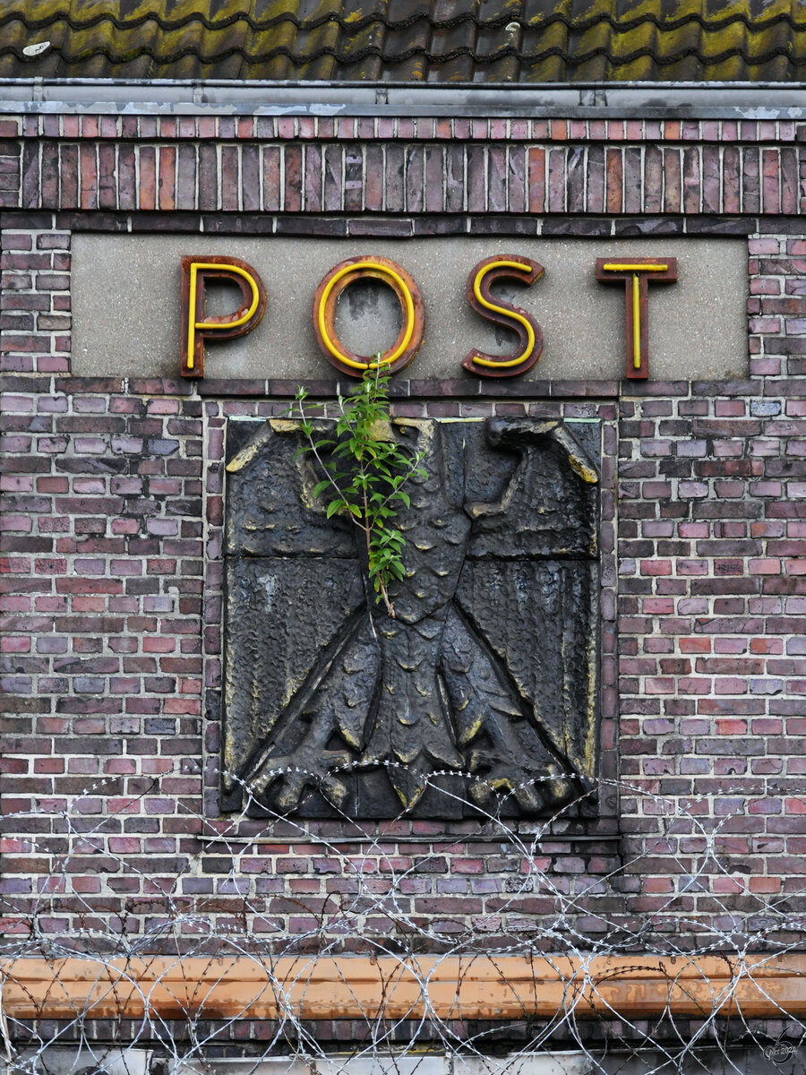 Auch das alte Gebäude der Bahnpost am Flensburger Bahnhof stirbt nach Rückbau des Geländes ein langsamen Tod. Es ist jedoch erstaunlich wie und wo sich die Flora so ihren Weg bahnt. (Juni 2024)