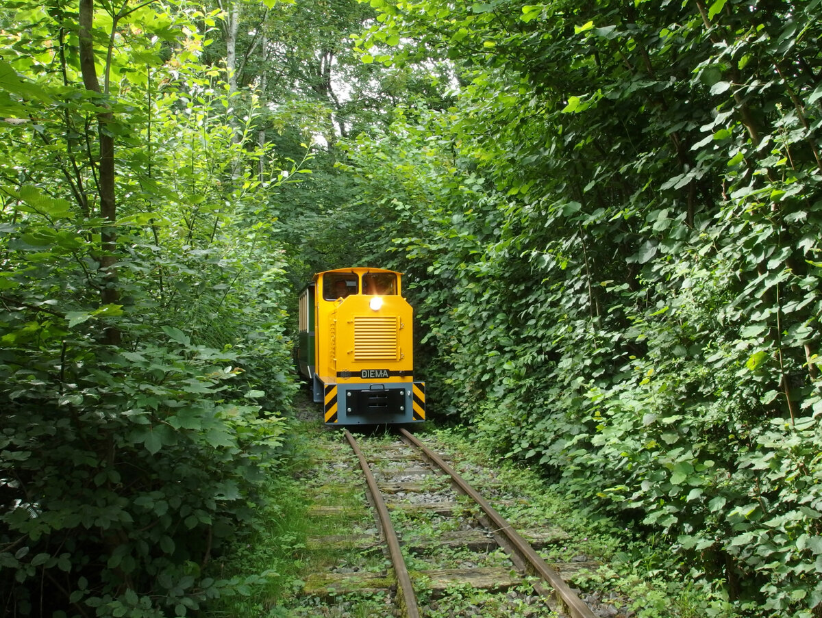 Auf dem Weg von der Bözenegg zur Grube Eriwis windet sich das Feldbahngleis der BEB durch ein Meer von Grün. (www.bebrail.ch) 