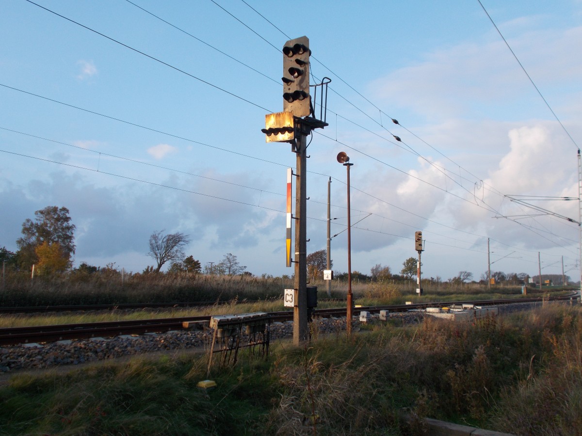 Ausfahrsignale an der Abzweigstelle Borchtitz am 20.Oktober 2014.Das im Vordergrund stehende Ausfahrsignale ist gültig für Fahrten in Richtung Sassnitz und Mukran,während das Signal im Hintergrund nur für Fahrten in Richtung Sassnitz gültig ist.