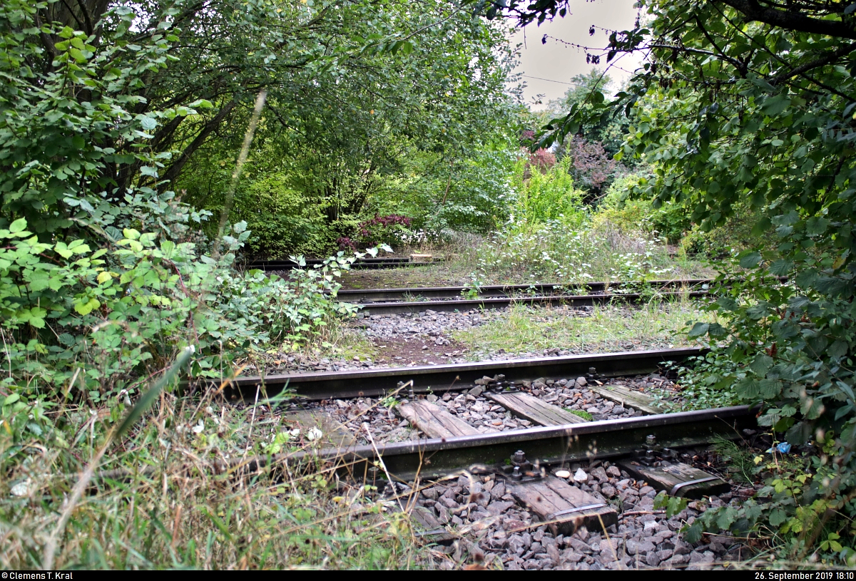 Bahnhof Markgröningen: Ansichten zu 14 Jahren Stillstand
Nach Jahrzehnten der zunehmenden Ausdünnung des Personen- und Güterverkehrs wurde die 8,35 km lange Bahnstrecke Ludwigsburg–Markgröningen (4831) zwischen dem Anschluss Lotter in Ludwigsburg und dem Endbahnhof Markgröningen zum 24.8.2005 endgültig stillgelegt.
Gleichzeitig gibt es seit einigen Jahren Diskussionen um die Reaktivierung des SPNV. Viele sind sich einig, dass die Schiene unter Berücksichtigung des stark ausgeprägten Individual- und unzureichenden Busverkehrs unbedingt gebraucht wird, in der Umsetzung gibt es jedoch unterschiedliche Ansichten. Fest steht: Für zahlreiche Pendler in der Region Stuttgart wäre dies ein Gewinn.
Hier ein Blick auf die drei zugewachsenen Einfahrtsgleise des Markgröninger Bahnhofs.
[26.9.2019 | 18:10 Uhr]

Wer mehr über den Zustand der Strecke sowie die Reaktivierungsbemühungen erfahren möchte, kann sich hier informieren:
- http://www.vergessene-bahnen.de/Ex320h_1.htm
- https://www.lkz.de/lokales/landkreis-ludwigsburg_artikel,-interessenkonflikt-am-bahnhof-_arid,542338.html