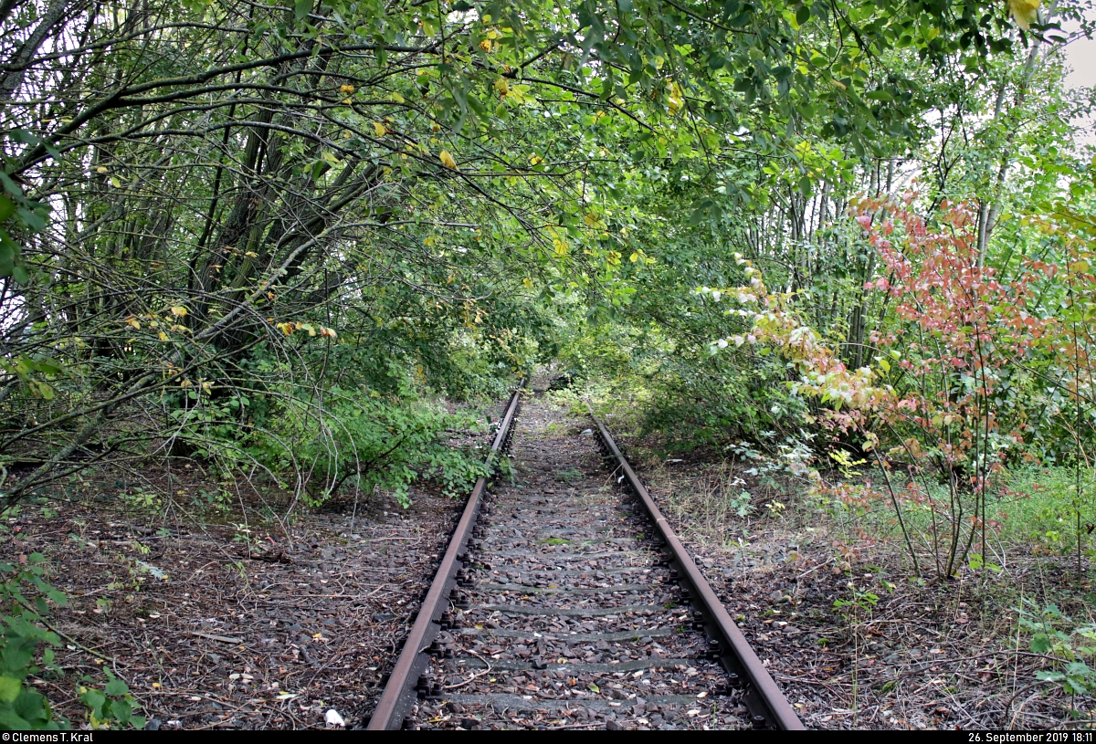 Bahnhof Markgröningen: Ansichten zu 14 Jahren Stillstand
Nach Jahrzehnten der zunehmenden Ausdünnung des Personen- und Güterverkehrs wurde die 8,35 km lange Bahnstrecke Ludwigsburg–Markgröningen (4831) zwischen dem Anschluss Lotter in Ludwigsburg und dem Endbahnhof Markgröningen zum 24.8.2005 endgültig stillgelegt.
Gleichzeitig gibt es seit einigen Jahren Diskussionen um die Reaktivierung des SPNV. Viele sind sich einig, dass die Schiene unter Berücksichtigung des stark ausgeprägten Individual- und unzureichenden Busverkehrs unbedingt gebraucht wird, in der Umsetzung gibt es jedoch unterschiedliche Ansichten. Fest steht: Für zahlreiche Pendler in der Region Stuttgart wäre dies ein Gewinn.
Hier ein Blick auf das Streckengleis Richtung Möglingen.
[26.9.2019 | 18:11 Uhr]

Wer mehr über den Zustand der Strecke sowie die Reaktivierungsbemühungen erfahren möchte, kann sich hier informieren:
- http://www.vergessene-bahnen.de/Ex320h_1.htm
- https://www.lkz.de/lokales/landkreis-ludwigsburg_artikel,-interessenkonflikt-am-bahnhof-_arid,542338.html