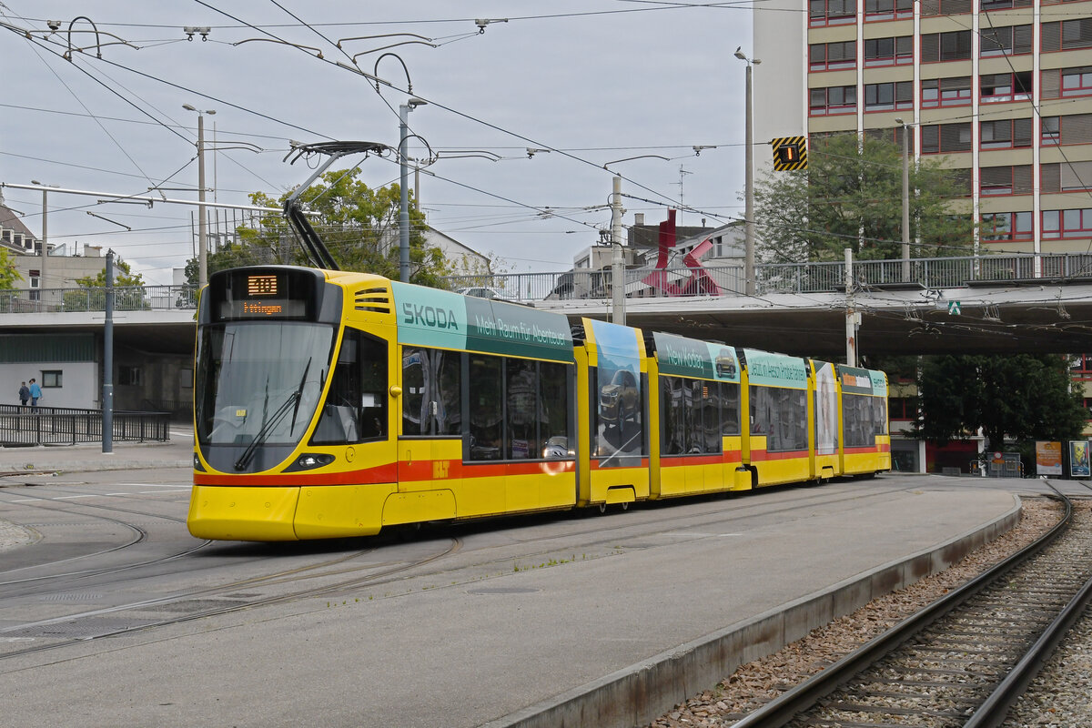 Be 6/10 Tango 176, auf der Linie 10, fährt am 26.08.2024 zur Haltestelle ZOO Basel. Aufnahme Basel.