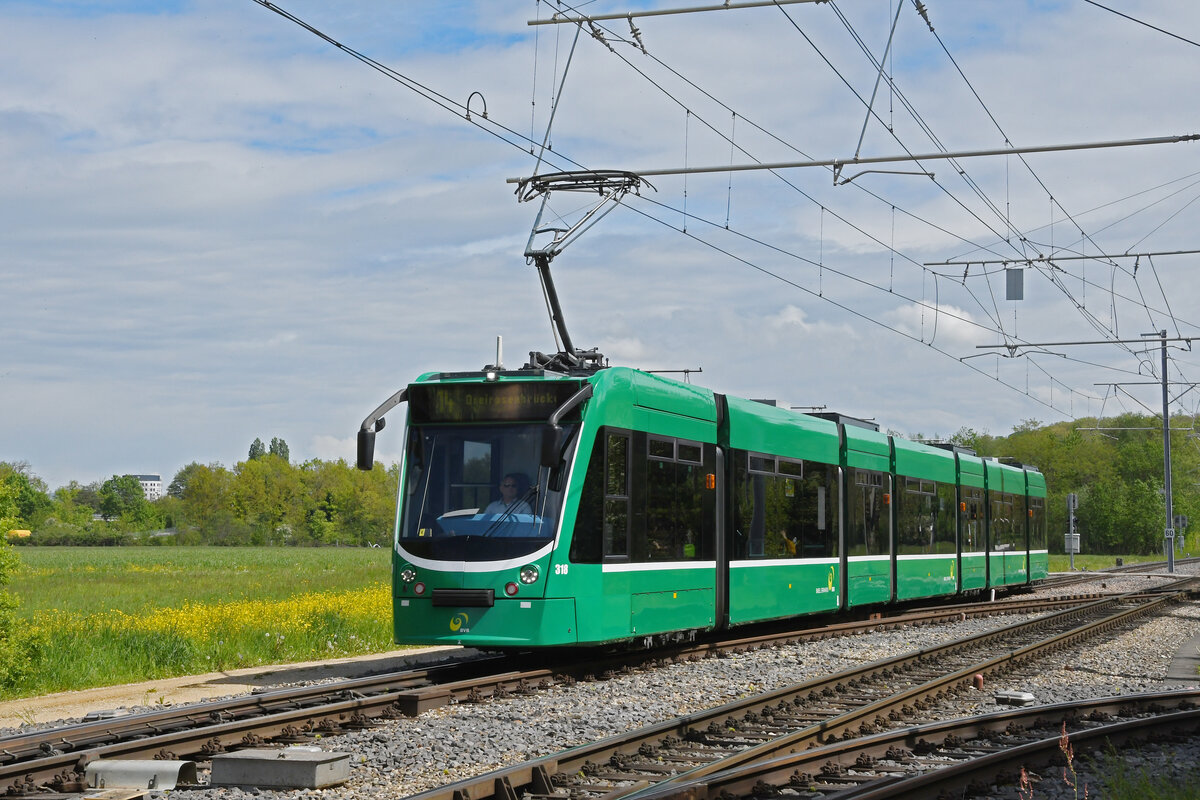 Be 6/8 Combino 318, auf der Linie 14, fährt am 26.04.2024 zur Haltestelle Rothausstrasse.