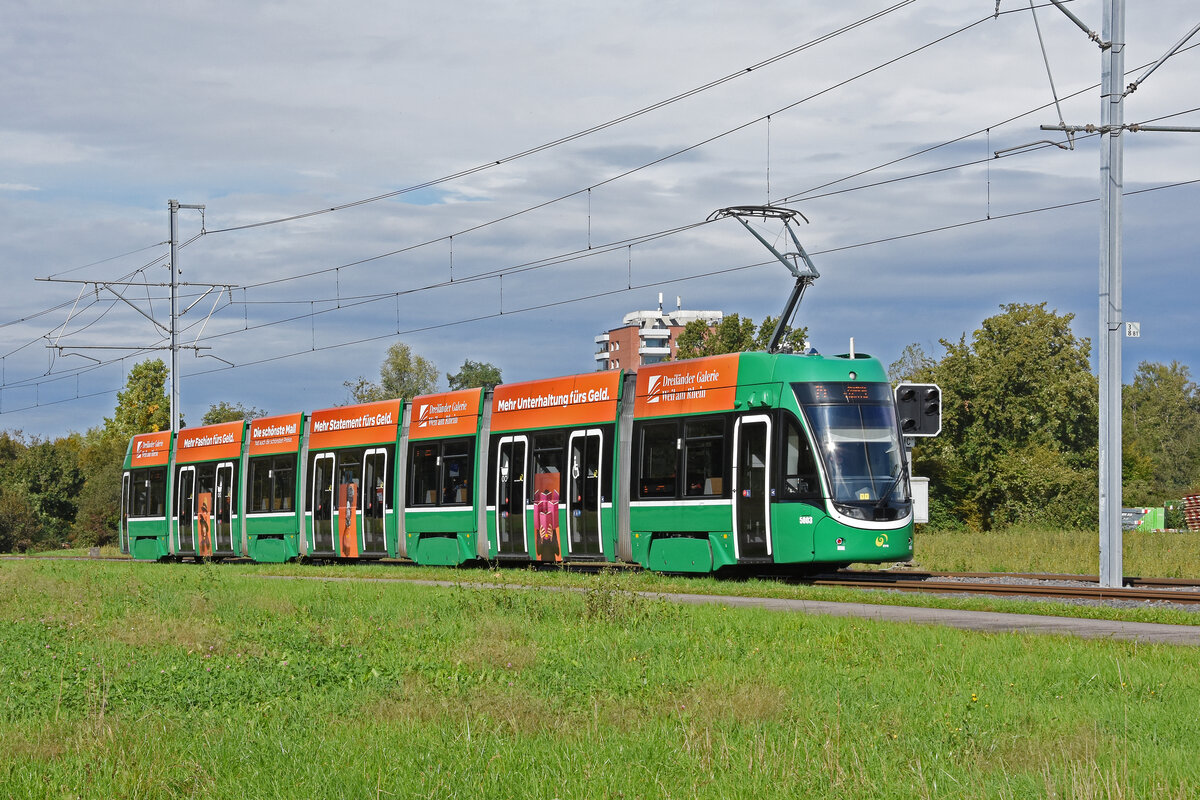 Be 6/8 Flexity 5003, auf der Linie 14, fährt am 07.10.2024 zur Haltestelle Lachmatt. Aufnahme Pratteln.