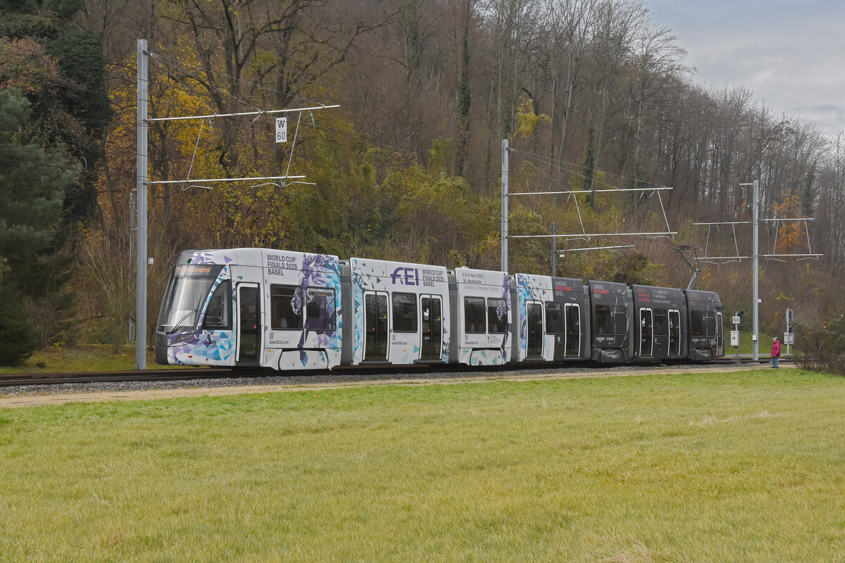 Be 6/8 Flexity 5011 mit der Werbung für Pferde Anlässe in Basel, auf der Linie 14, fährt am 02.12.2024 zur Haltestelle Rothausstrasse. Aufnahme Muttenz.