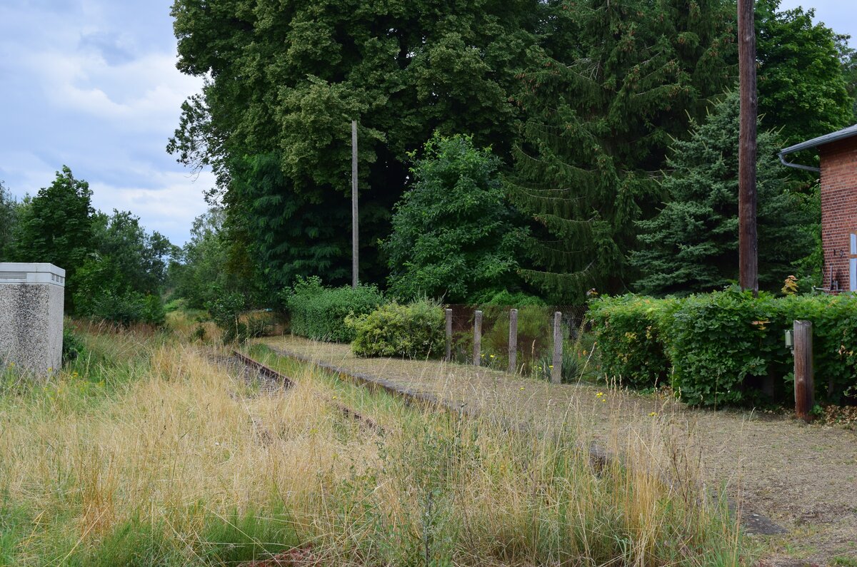 Blick auf den ehemaligen Bahnsteig in Kuhfelde. Hier sieht man die Bahnstrecke nach Oebisfelde. Die Strecke wurde 2004 durch die DB stillgelegt und zum 1. Januar 2007 von der DRE zur Streckensicherung gepachtet. Da auf dem Abschnitt Klötze - Oebisfelde von den Kommunen kein Interesse am Schienenverkehr vorlag wurde die Strecke 2008 durch die DRE abgebaut. Auf dem Abschnitt Salzwedel - Klötze befuhren 2014 und 2015 Sonderfahrten. Seither ist die Strecke ohne Verkehr und wächst stetig zu. 

Kuhfelde 31.07.2021