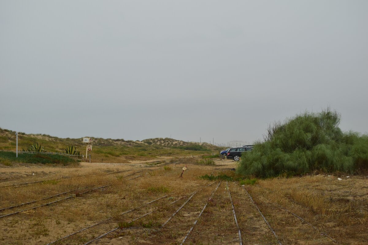 Blick auf das Gleisvorfeld vom Depot. Die Bahnstrecke wurde zwischen 1960 und 1962 als touristische Attraktion erbaut. 2008 wurde das erste mal über eine Stilllegung diskutiert die jedoch abgewendet werden konnte. Zu Beginn von Corona wurde der Betrieb eingestellt und bis heute nicht wieder aufgenommen. Es gibt jedoch gute Hoffnung das bald wieder Bahnen am Strand entlang fahren, denn die Strecke samt Fuhrpark wurde an jemanden verkauft der den Betrieb wieder herstellen möchte. 

Costa da Caparica 28.06.2024