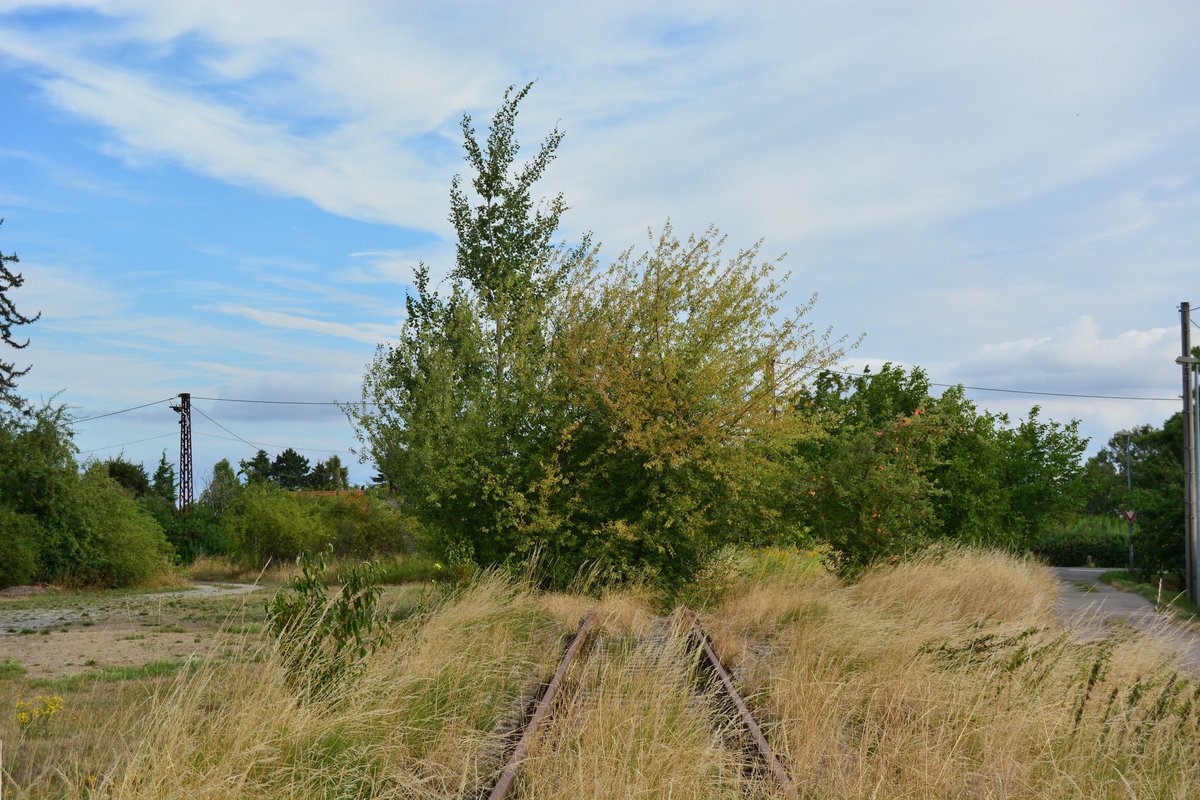 Blick auf die Kleinbahn Erfurt Nottleben in Marbach. Bis 2003 konnte sich hier noch der Güterverkehr zum Marbacher Silo halten. Der Personenverkehr endete hier schon 1995.

Marbach 10.08.2018