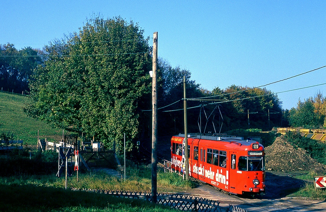 Bochum 295, Papenholz, 29.10.1993..