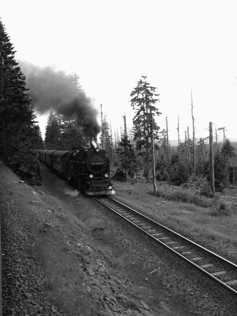 Brockenbahn 12.06.2012