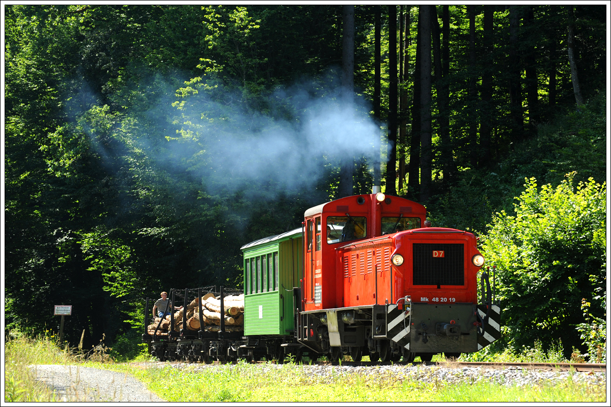 D7 (Mk 48.2019) mit einem Fotogüterzug auf der Stainzbahn im Wald zw. Wohlsdorf und Kraubath am 26.6.2015.