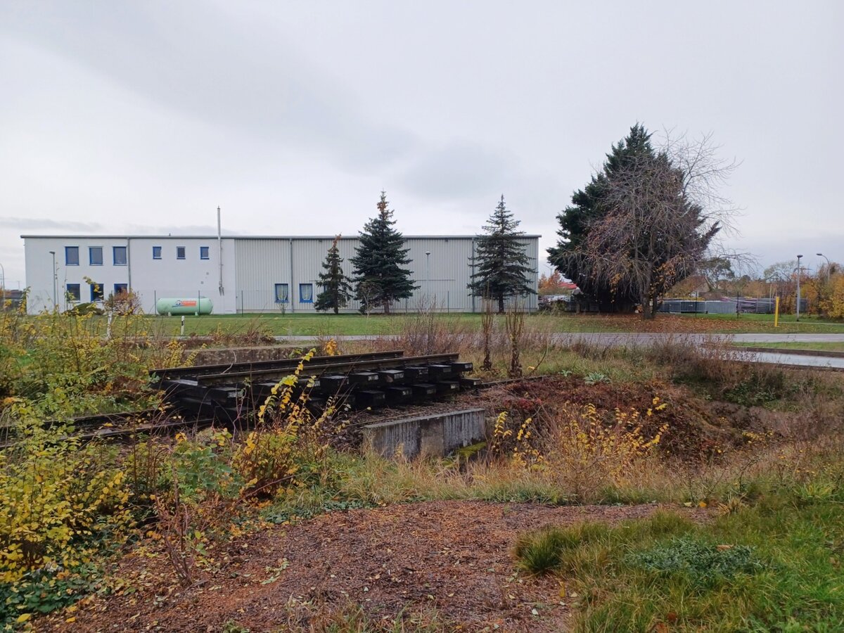 Das ehemalige Streckengleis von Schlettau nach Bad Lauchstädt, am 17.11.2024 in Holleben.