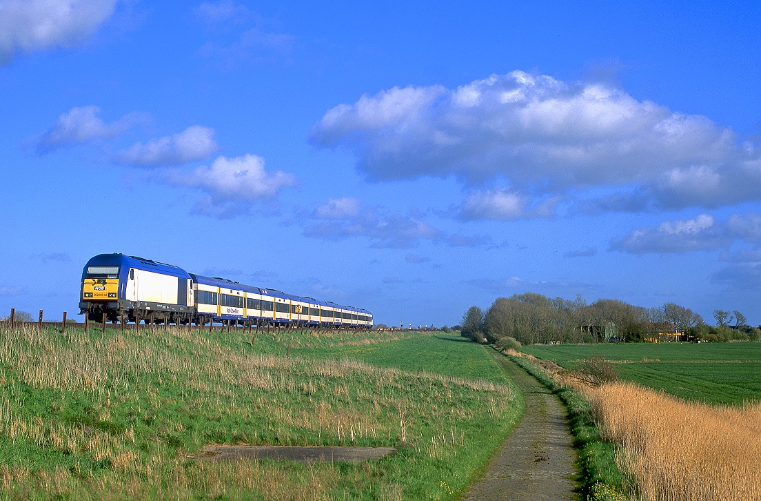 DE2000-02, Dreieckskoog, 04.05.2010.