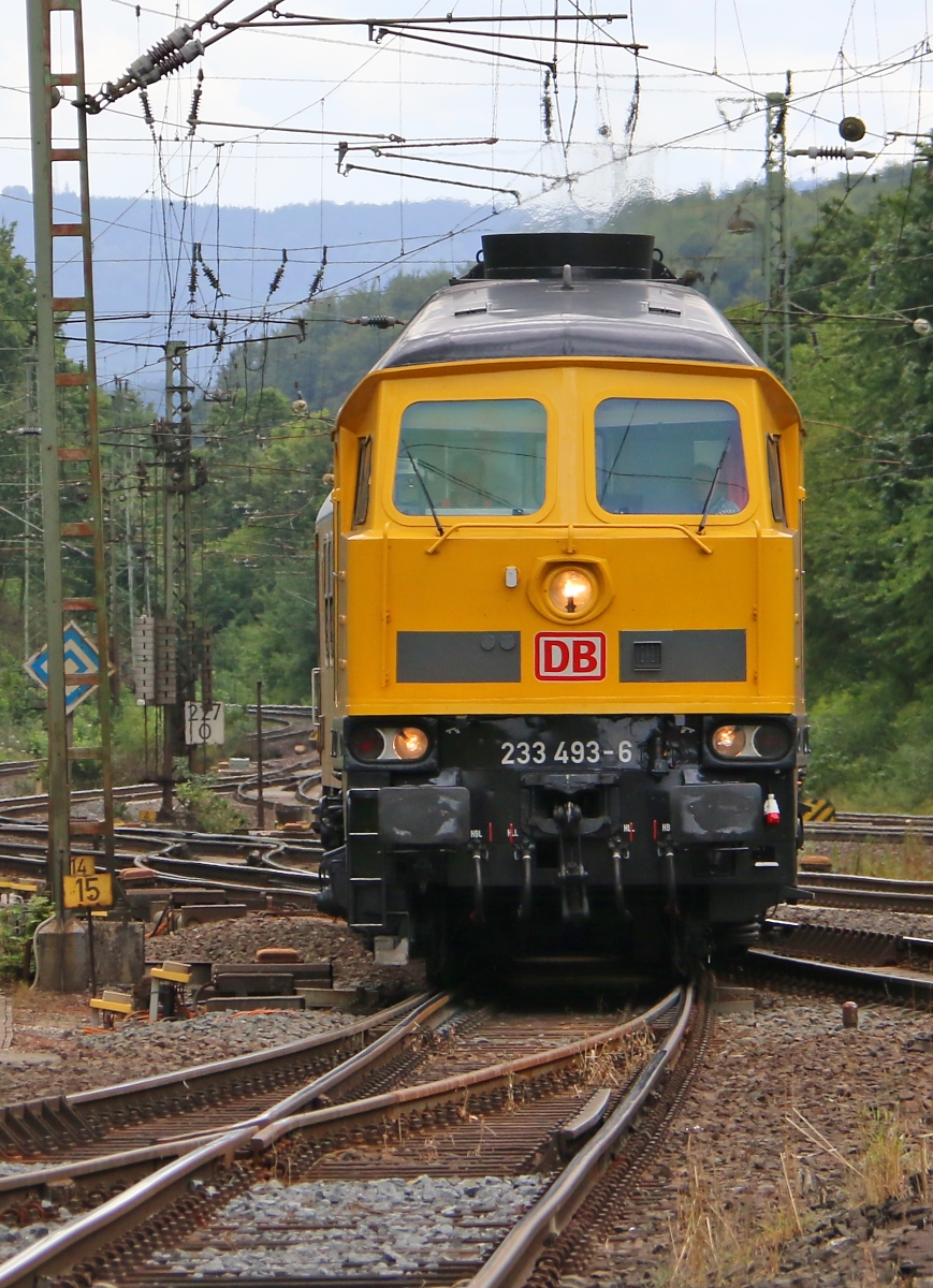 Dem Tiger in die Augen geschaut: 233 493-6 bei der Einfahrt nach Eichenberg. Aufgenommen am 28.07.2015.