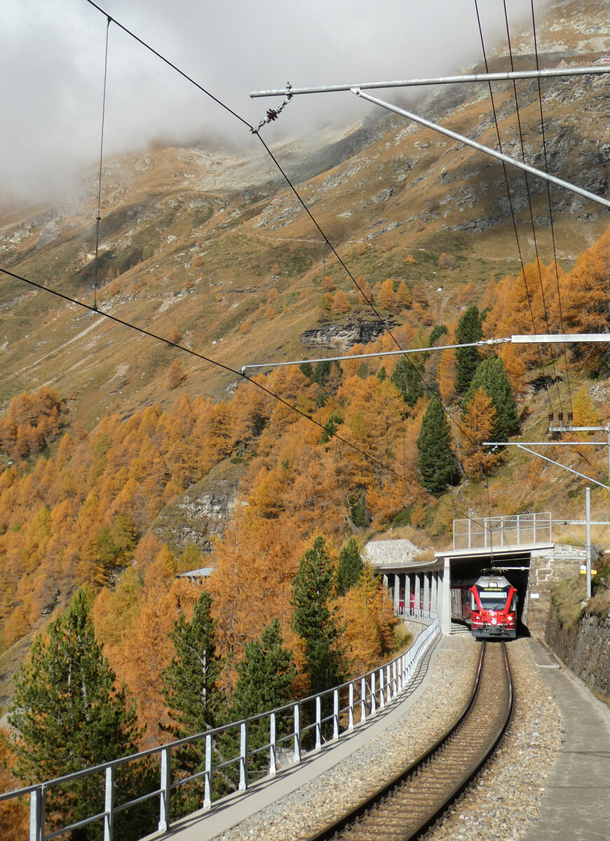 Der Bernina-Express von Tirano nach Chur hat den Kehrtunnel unterhalb des Bahnhofs Alp Grüm verlassen und fährt inmitten der prächtigen Herbstlandschaft bergwärts. Alp Grüm, 22.10.2024