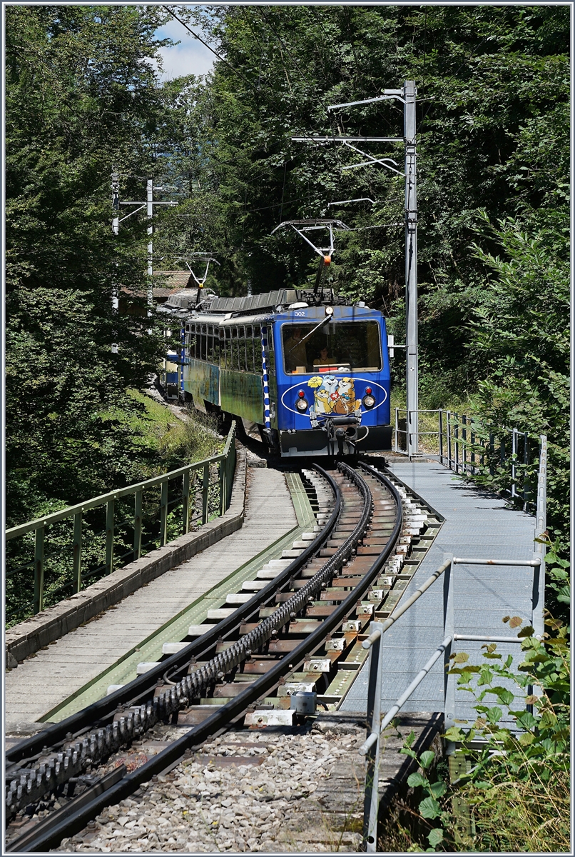 Der Bhe 4/8 302 erreicht von Caux kommend Le Tremblex.
7. August 2016