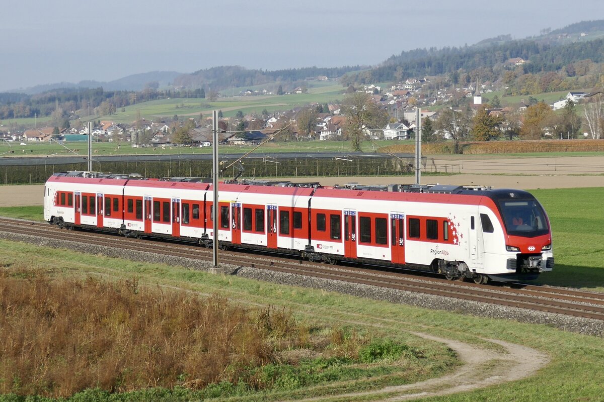 Der neue Flirt 4 Evo RABe 533 701 für RegionAlps auf einer weiteren Testahrt nach Thun am 11.11.24 zwischen Wichtrach und Kiesen.