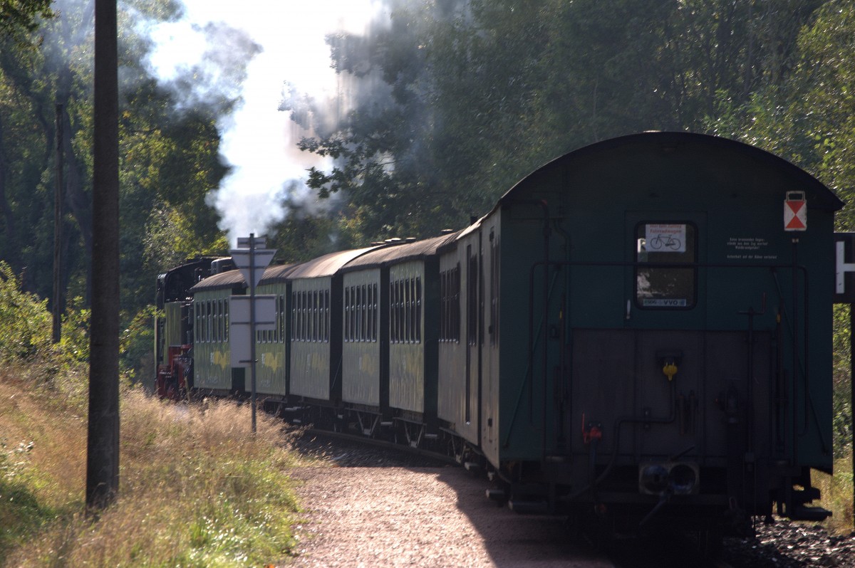 Der planmige Zug um 16:01 Uhr aus Radeburg bei der Ausfahrt  in Brnsdorf.
02.10.2013