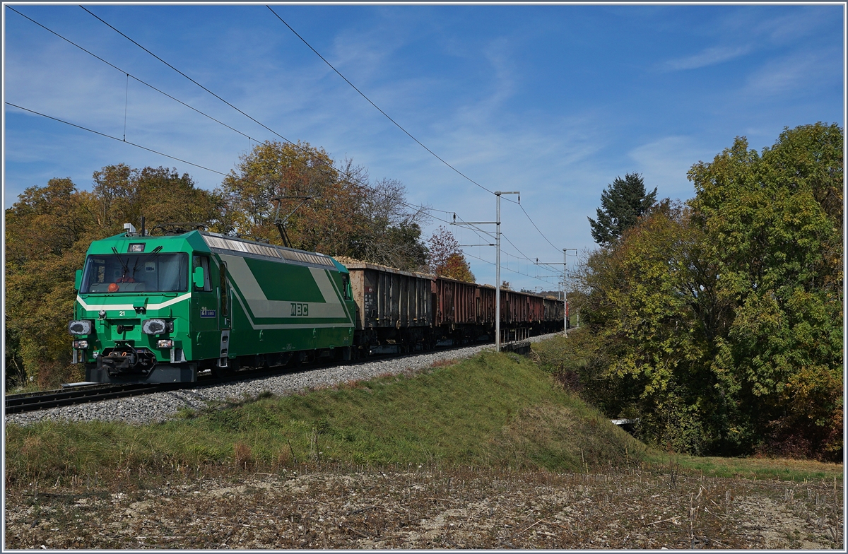 Die BAM MBC Ge 4/4 N° 21 ist bei Apples mit einem Zuckerrübenzug auf dem Weg nach Morges, wo die mit Zuckerrüben beladen Eaos wieder die Normalspur erreichen. Leider wurde infolge der Zuckerrübenverlad auf der Schiene bei der BAM eingestellt.

17. Oktober 2017