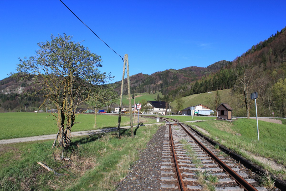 Die Haltestelle Peutenburg im dem zwischen Scheibbs und Kienberg-Gaming seit Dez.2010 aufgelassenen Teil der Erlauftalbahn bei Km 34,0 mit Blickrichtung Scheibbs, April 2012