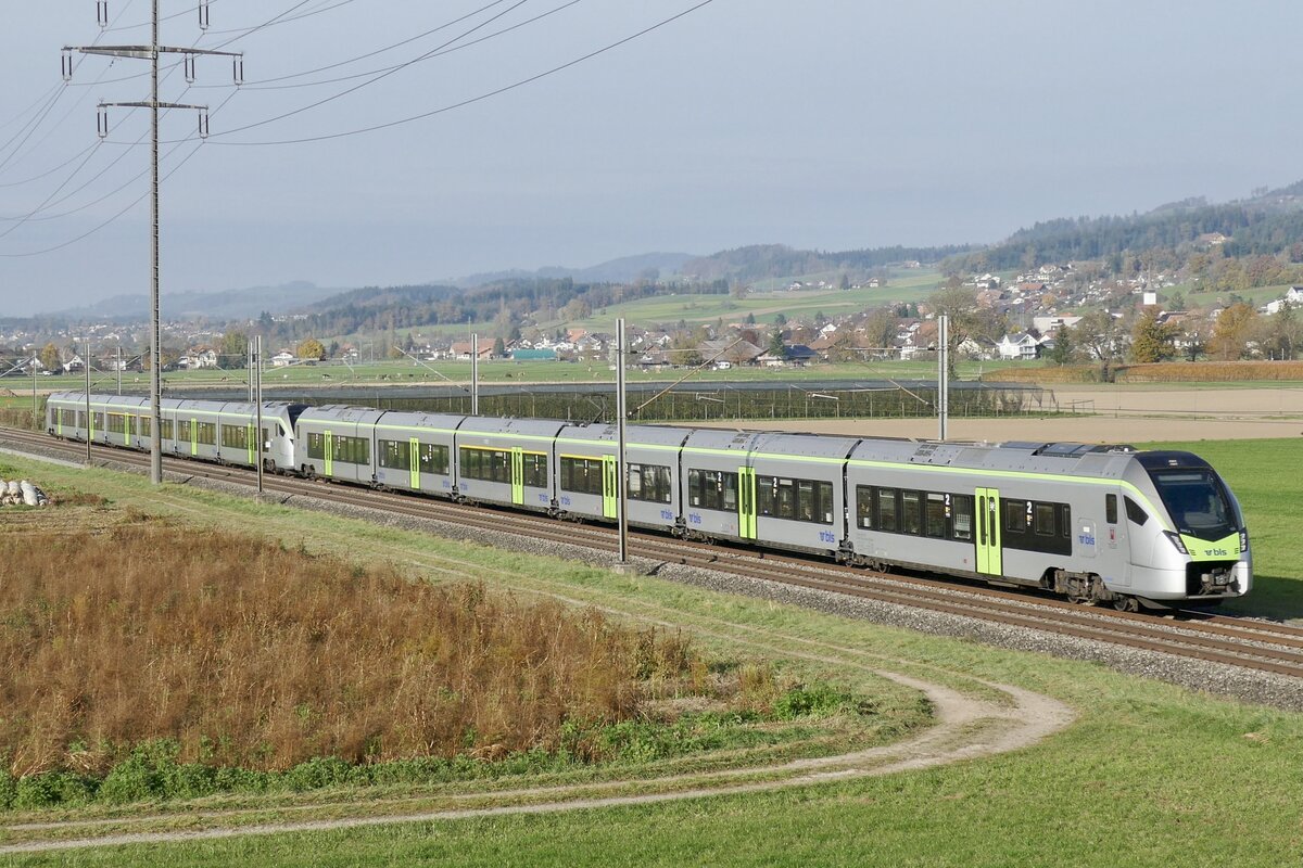 Die MIKA RABe 528 122  Erlenbach im Simmental  mit einem weiteren RABe 528 am 11.11.24 unterwegs zwischen Wichtrach und Kiesen.