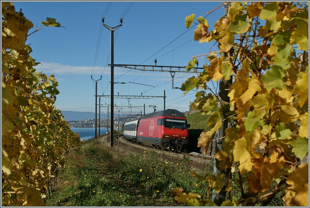 Die SBB Re 460 112-4 erreicht mit ihrem IR von Genève Aéroport nach Birg nach Cully, welches ohne Halt durchfahren wird.
28. Okt. 2013