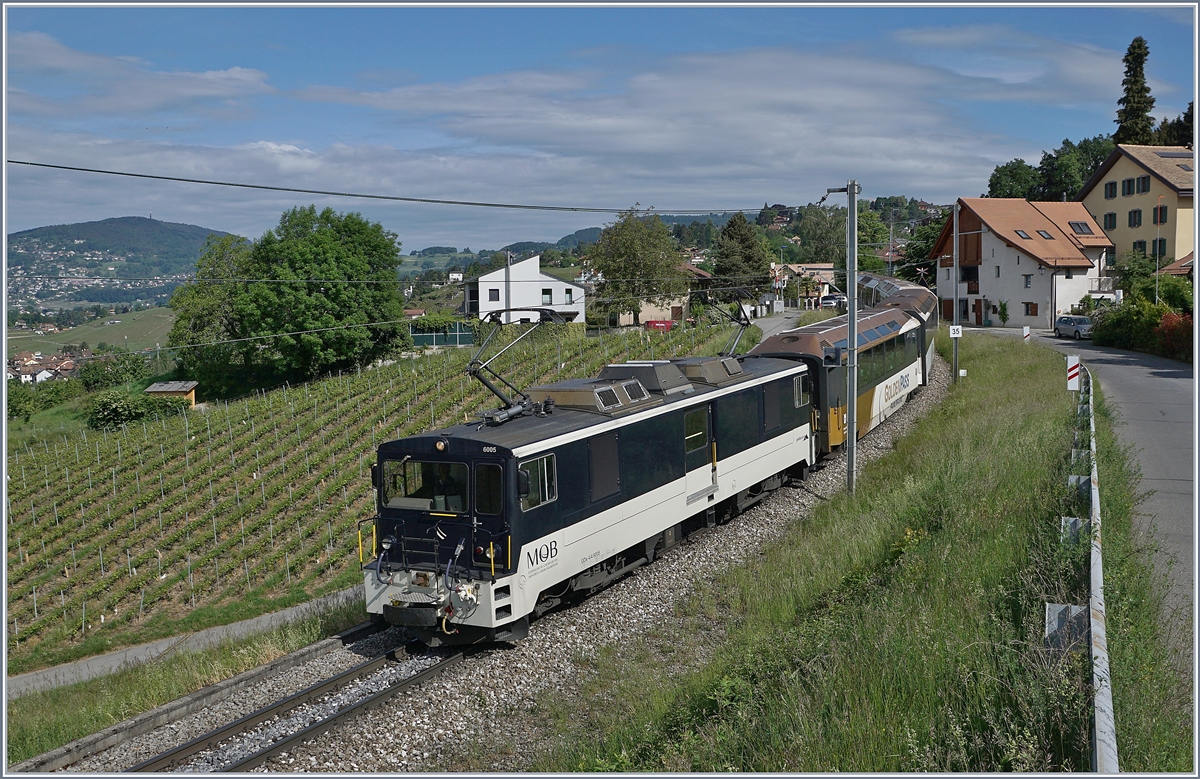 Die sechs MOB GDe 4/4 6001 - 6006: Für ihre Panoramic Express Züge benötigte die MOB Anfang der 80er Jahre leistungsfähige Loks und bestellte bei der SLM/BBC vier GDe 4/4 (Serie 6000), die ungewohnte Bezeichnung rührt daher, dass die MOB das den Panoramic Express Zügen fehlende Gepäckabteil in die Loks einbauen liess, aber keine  Gepäcktriebwagen  haben wollte. 1983 wurden die Loks ausgeliefert, die GFM schloss sich mit zwei Loks der Bestellung an. 
Die Bo'Bo' Loks sind 16,40 Meter lang, 48 Tonnen  schwer und für 90 km/h zugelassen, wobei eine GDe 4/4 (Serie 6000) mit 110 km/h auf sich aufmerksam machte. 
Der abnehmende Güterverkehr veranlasste die GFM/TPF ihre Loks GDe 4/4 101 und 102 an die MOB zu verkaufen. 
Die UIC Nummerierung der GDe 4/4 Serie 6000 lautet: 980 85 830 600X-X CH-MOB. 

Die von der TPF übernommene MOB GDe 4/4 6005 ist bei Planchamp mit einem MOB Golden Pass Panoramic auf dem Weg nach Montreux.

10. Mai 2020