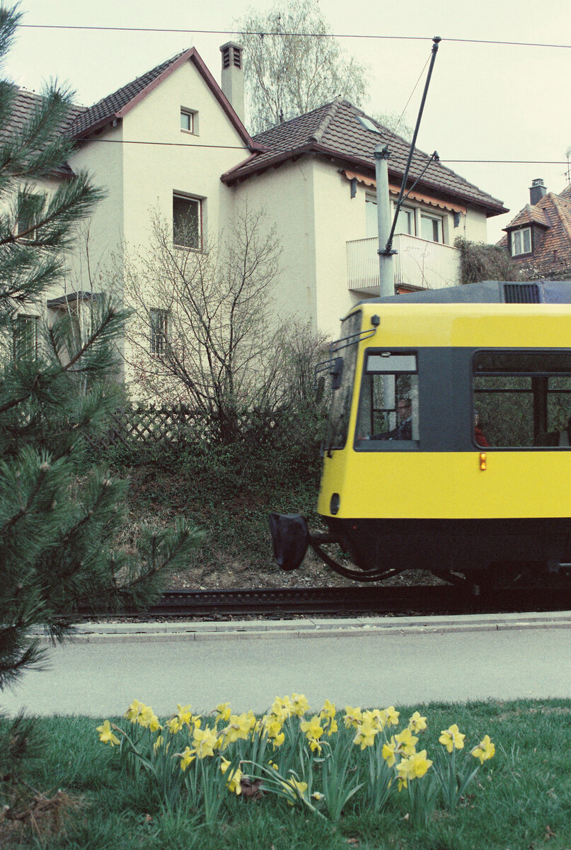 Die Stuttgarter Zahnradbahn erlebte mit ihren neuen ZT4 den Frühling 1984! Der Wagen fährt vom alten Degerlocher Zahnradbahnhof in Richtung Stadt. 