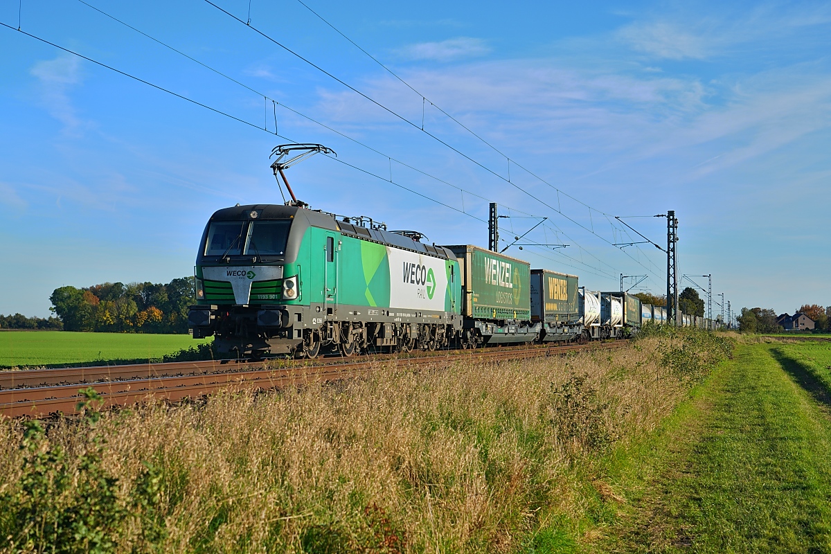 Die WECO Rail-1193 901 befördert am 26.10.2024 einen Containerzug durch Neuss-Elvekum