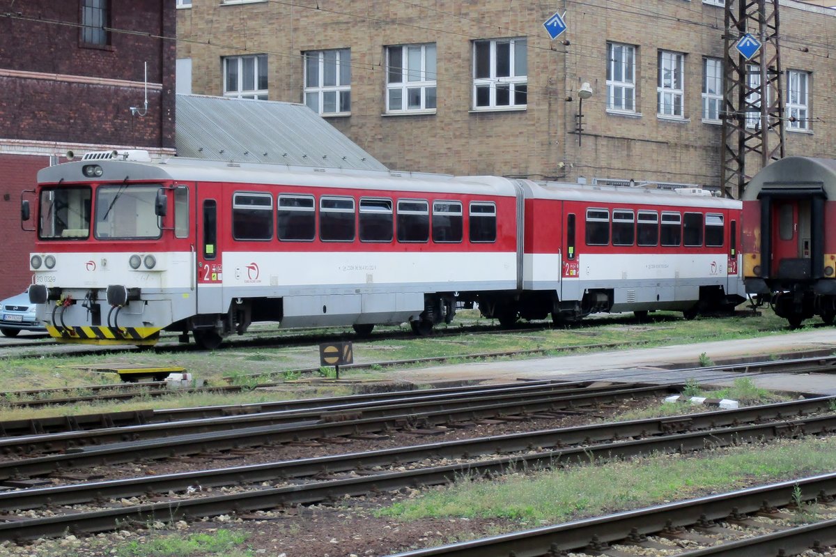 Doppelschienenbus 813 029 steht am 15 Mai 2018 in Zilinma abgestellt.