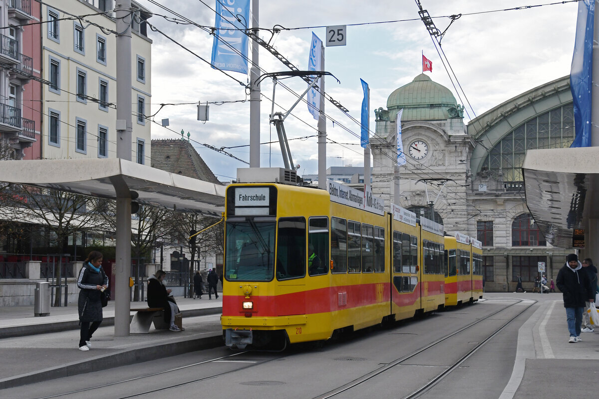 Doppeltraktion, mit dem Be 4/8 210 und dem Be 4/6 233 wartet am 18.12.2024 mit der Fahrschule an der Haltestelle Bahnhof SBB. Aufnahme Basel.