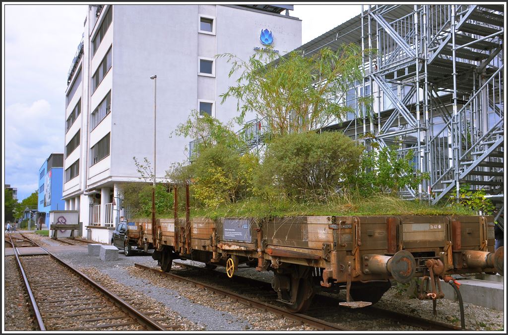 Dreispitzareal, zweckentfremdeter Güterwagen. (05.09.2015)