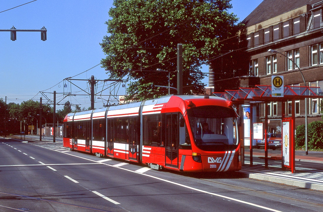 Duisburg 2000, Grunewald, 27.06.2001.
