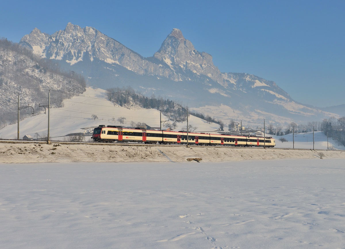 Ein DOMINO am 11.02.2015 bei Steinen. 