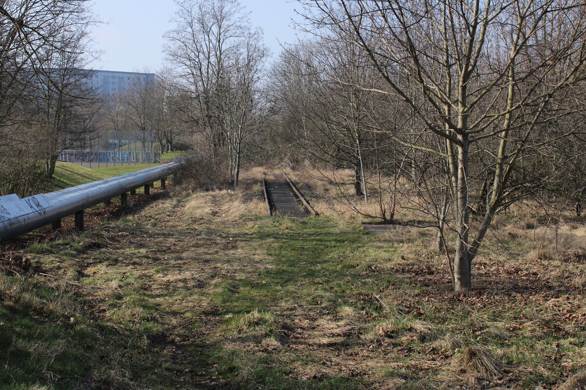 Ein Gleisrest von der ehem. S-Bahn Erfurt, zwischen dem Hp Györer Straße und dem Hp Berliner Str., am 28.02.2024 in Erfurt Nord.